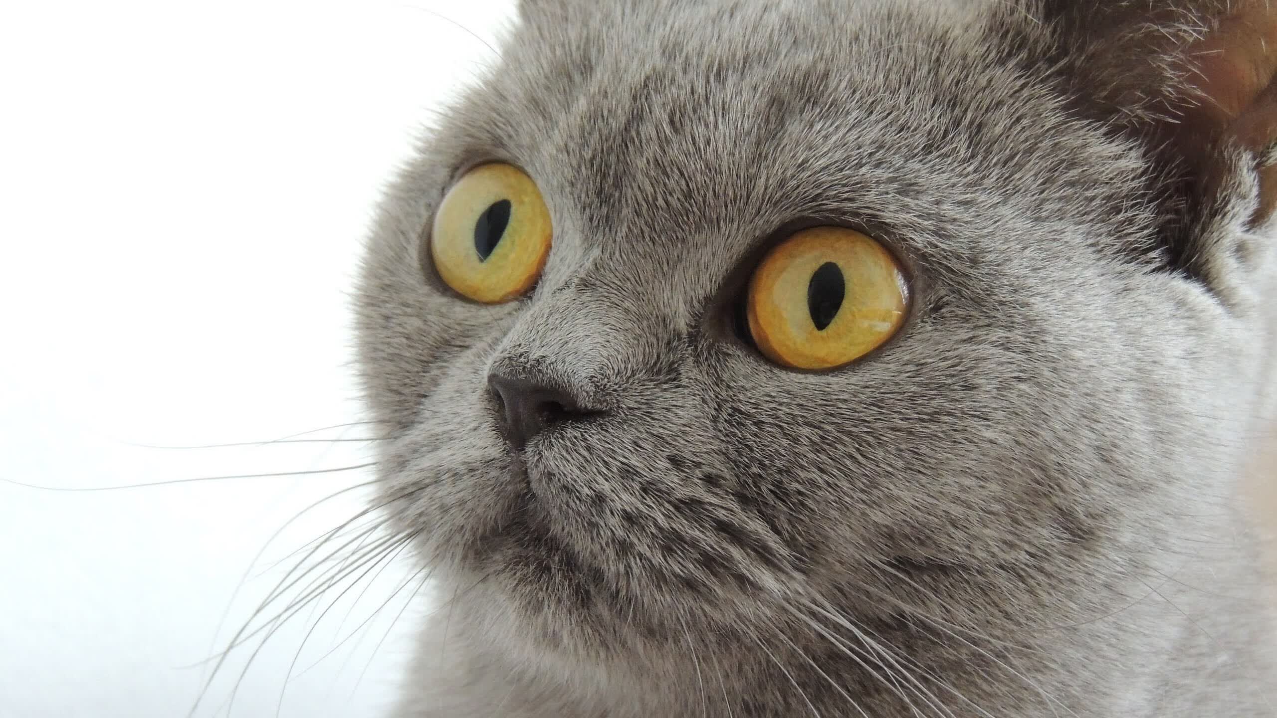 学霸黄渤电影（学霸黄渤电影免费观看）